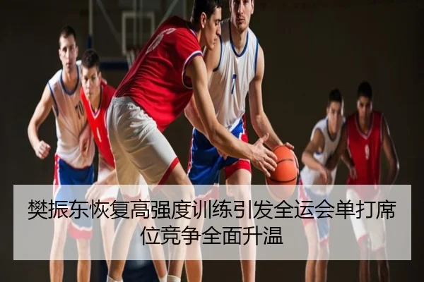 樊振东恢复高强度训练引发全运会单打席位竞争全面升温