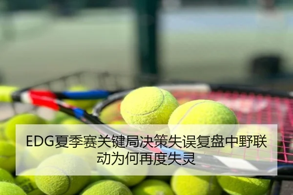 EDG夏季赛关键局决策失误复盘中野联动为何再度失灵